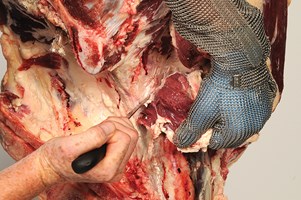 Sirloin and whole Fillet (bone-in) Meat Cut Spec Step 7